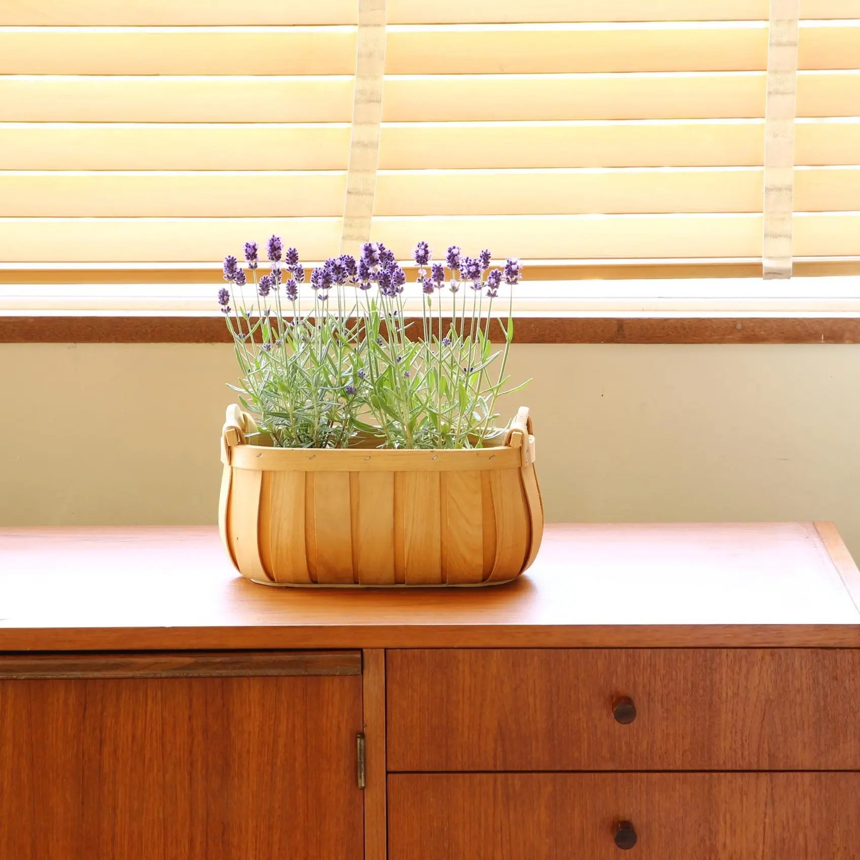 basket - "poire" cedar - oval by time concept inc.