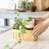 basket - "poire" cedar - oval by time concept inc.