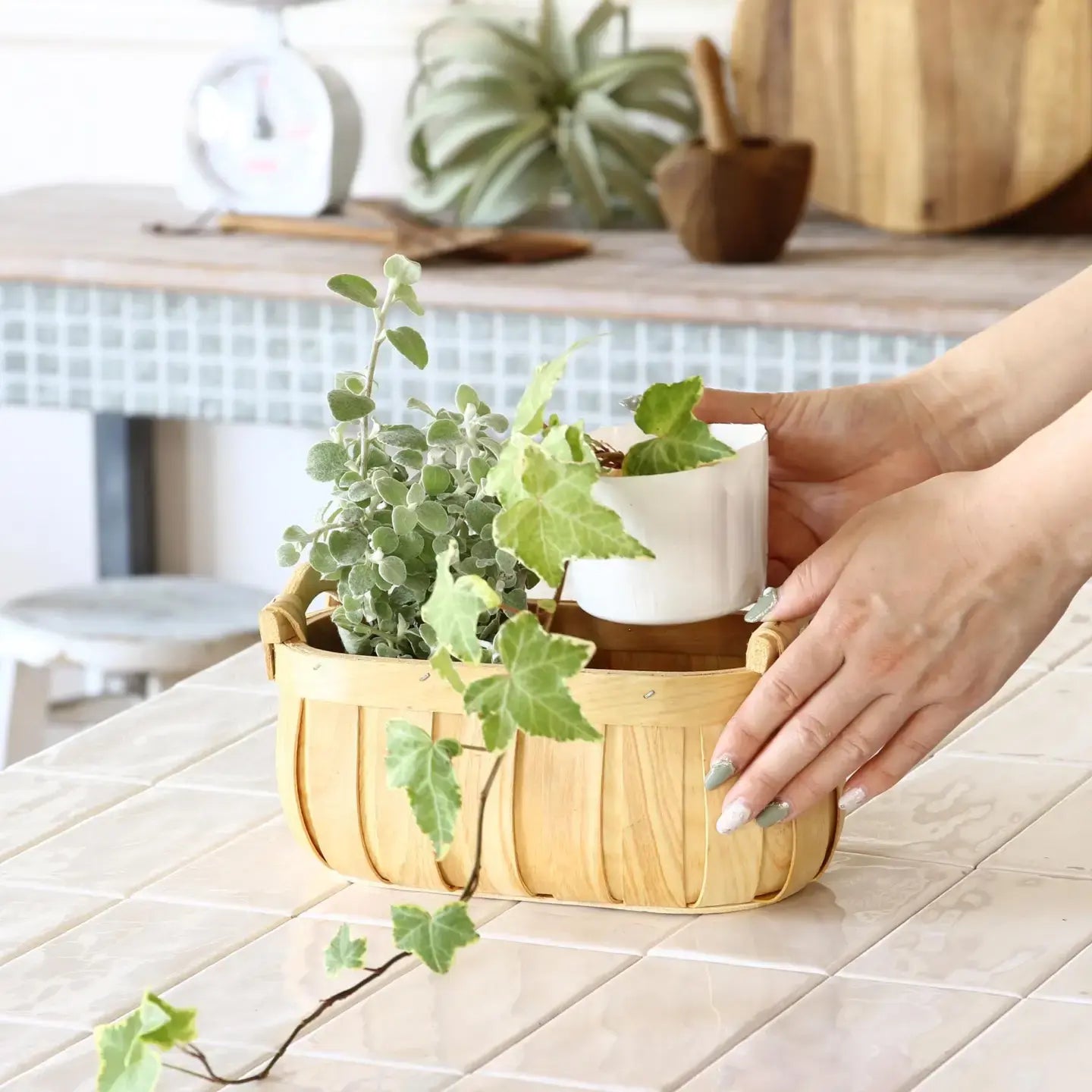 basket - "poire" cedar - oval by time concept inc.