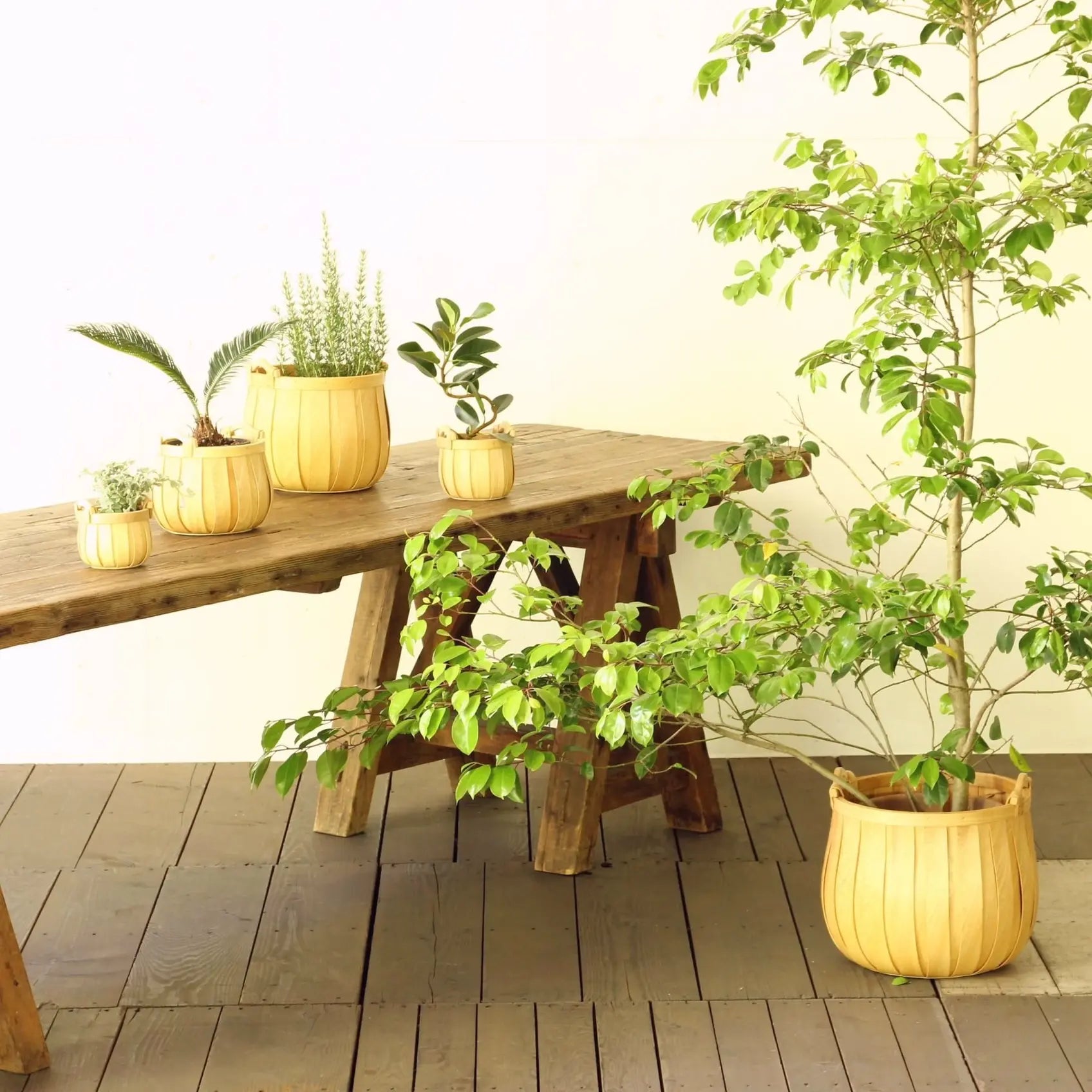 basket - "poire" cedar - round by time concept inc.