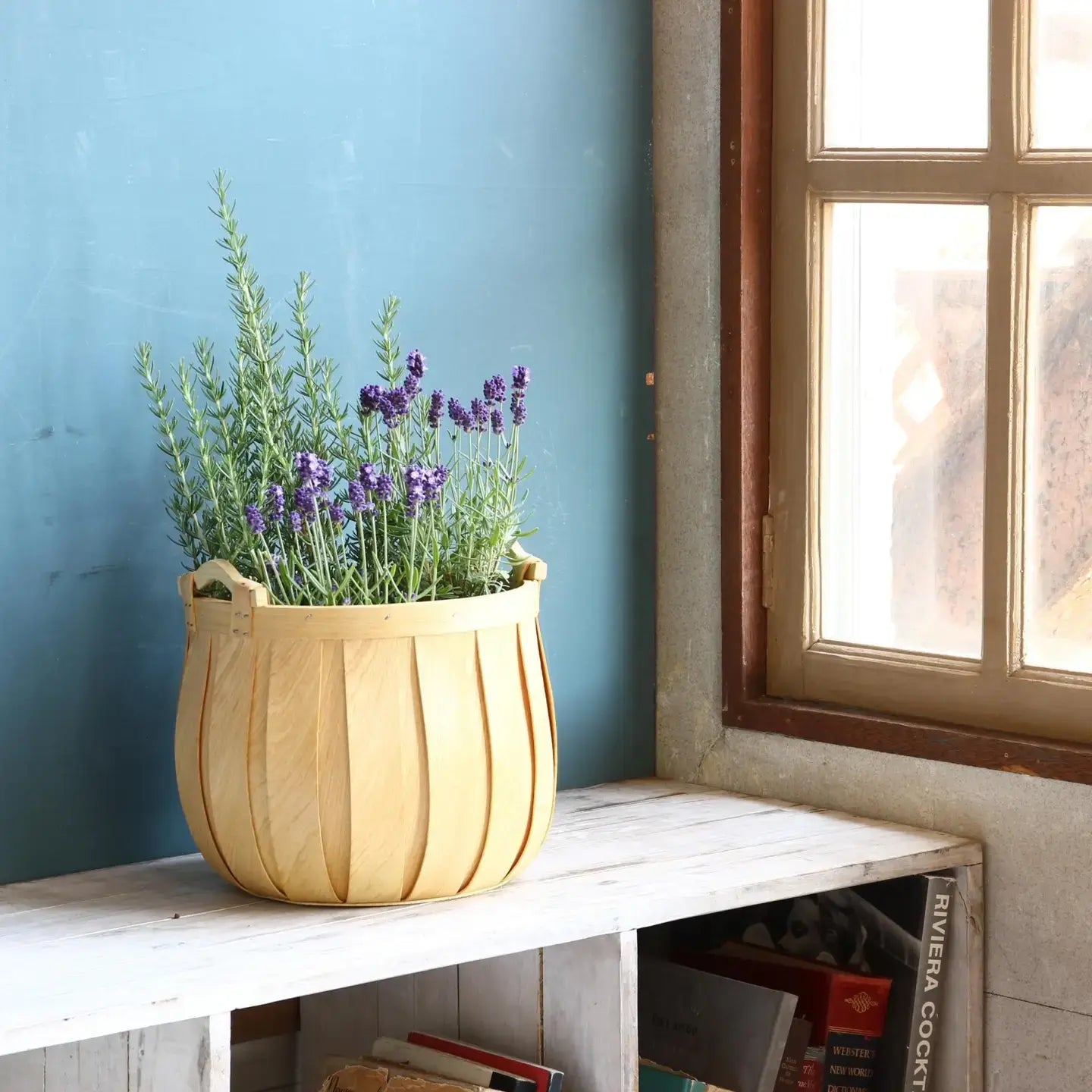 basket - "poire" cedar - round by time concept inc.