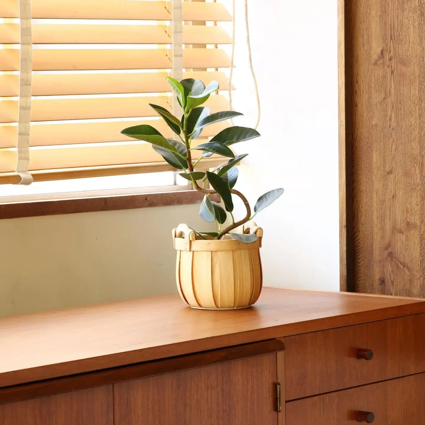 basket - "poire" cedar - round by time concept inc.