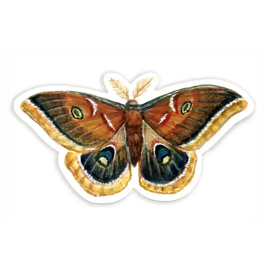 vinyl sticker - polyphemus moth by the wild wander
