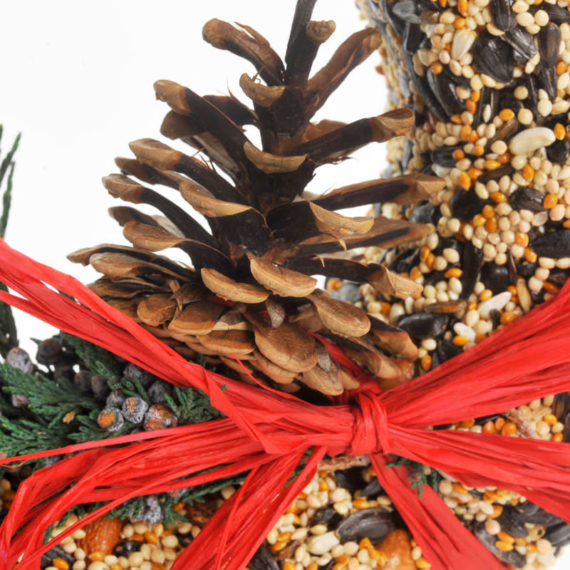 bird seed - wild feast wreath by mr. bird