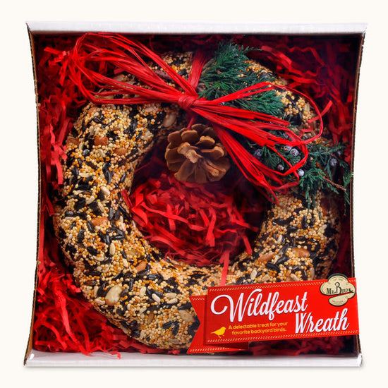 bird seed - wild feast wreath by mr. bird