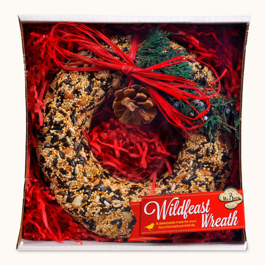 bird seed - wild feast wreath by mr. bird