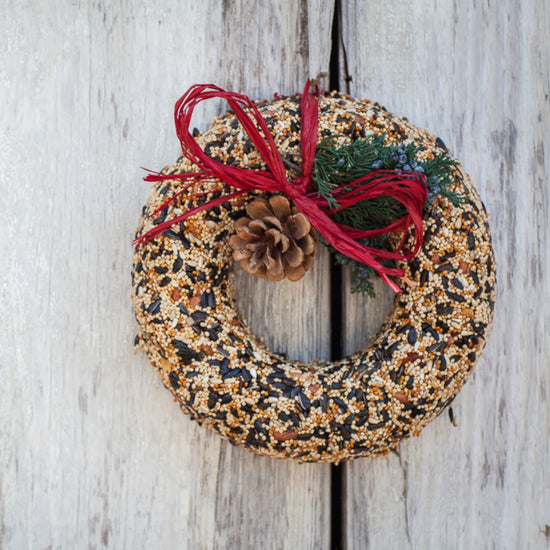 bird seed - wild feast wreath by mr. bird