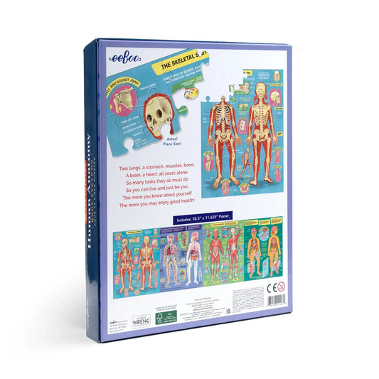 puzzle set - human anatomy by eeboo