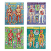 puzzle set - human anatomy by eeboo
