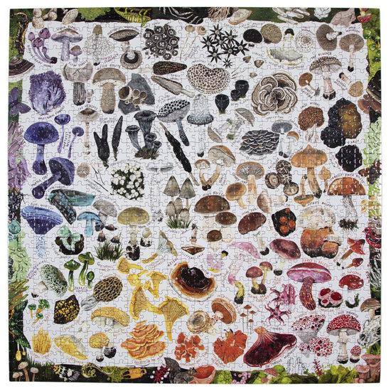 puzzle - 1000-piece - mushroom rainbow by eeboo