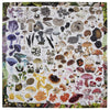 puzzle - 1000-piece - mushroom rainbow by eeboo