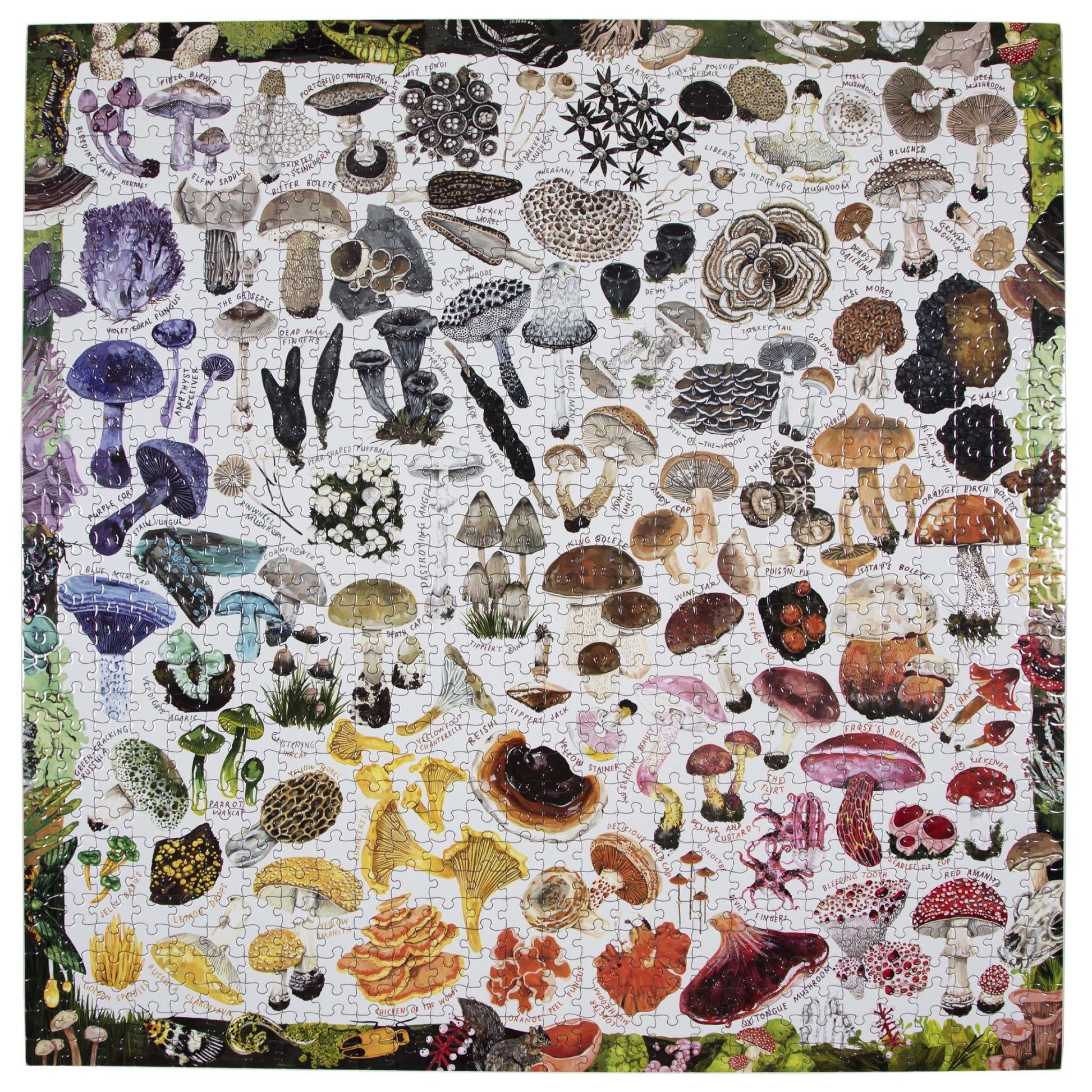 puzzle - 1000-piece - mushroom rainbow by eeboo