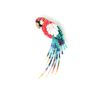 Brooch Pin | Scarlet Macaw Parrot