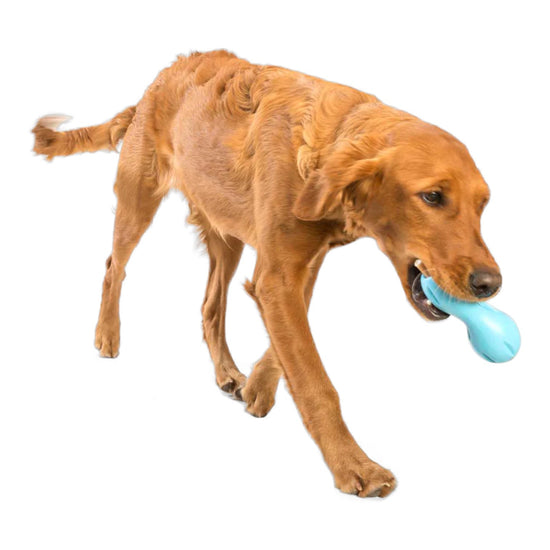 dog toy - qwizl® by west paw design