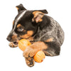 dog toy - qwizl® by west paw design