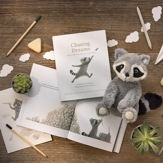 toy - raccoon plush ("chasing dreams" book companion) by compendium