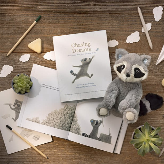 toy - raccoon plush ("chasing dreams" book companion) by compendium