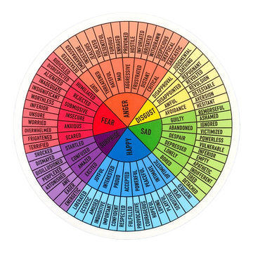 sticker - feelings wheel - bright rainbow by plenty