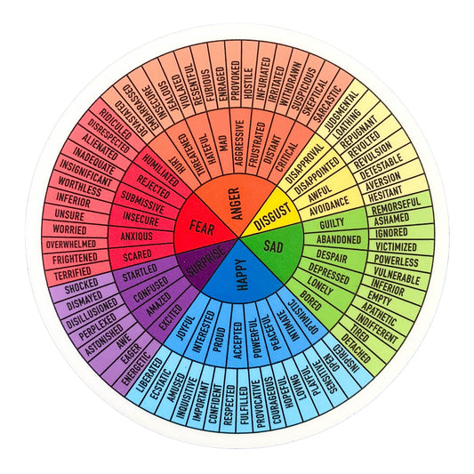 sticker - feelings wheel - bright rainbow by plenty