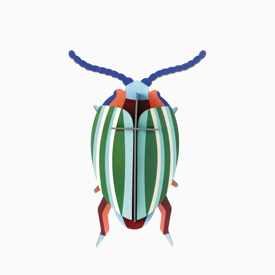 3d insect puzzle - small beetle by studio roof