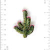 Brooch Pin | Blooming Desert Cactus