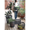 basket - handle utility - graphite by time concept inc.
