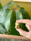 dice set - brass - really nice by son of a sailor