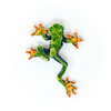 brooch pin - red eyed tree frog by trovelore