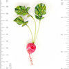 brooch pin - red radish by trovelore
