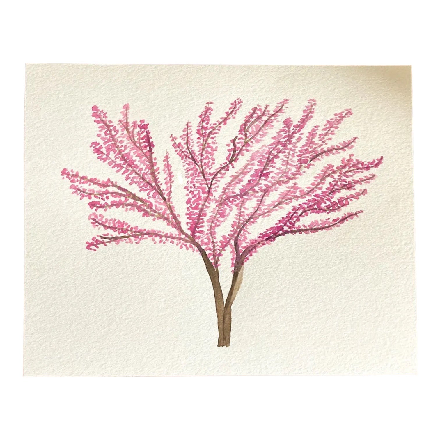 art print - redbud tree (watercolor) by scissortail prints co.
