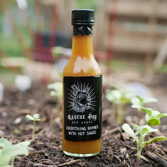 hot sauce - rescue dog by rescue dog hot sauce/must love dogs
