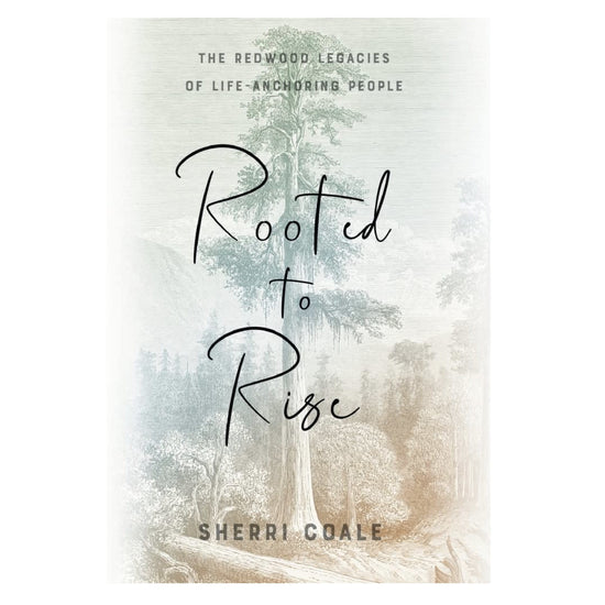 book - rooted to rise - sherri coale by soul shine press