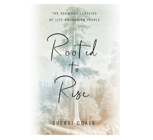 book - rooted to rise - sherri coale by soul shine press