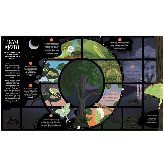 book - round and round goes mother nature by quarto usa