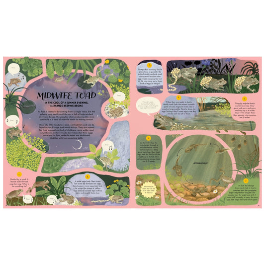 book - round and round goes mother nature by quarto usa