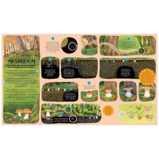 book - round and round goes mother nature by quarto usa