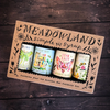 Condiment | Gift Set | Simple Syrup | Daydream Collection