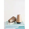 shaker set - salt & pepper - mango wood by creative co-op