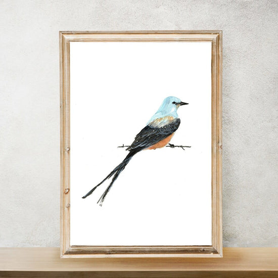 art print - scissortail flycatcher bird by scissortail prints co.