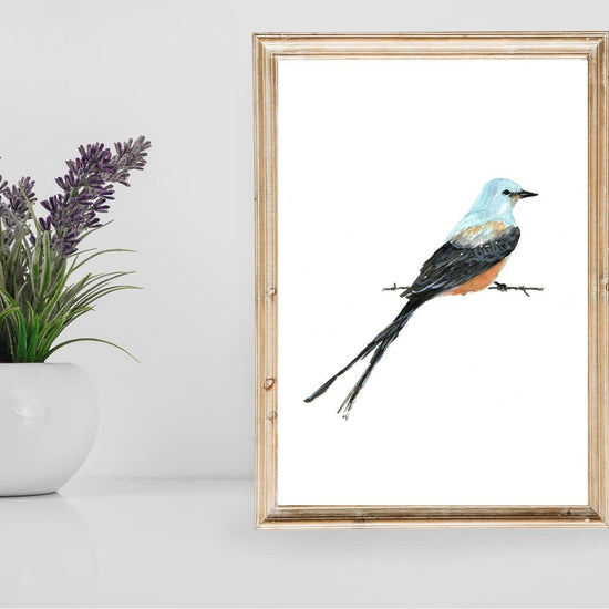 art print - scissortail flycatcher bird by scissortail prints co.