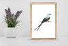 art print - scissortail flycatcher bird by scissortail prints co.