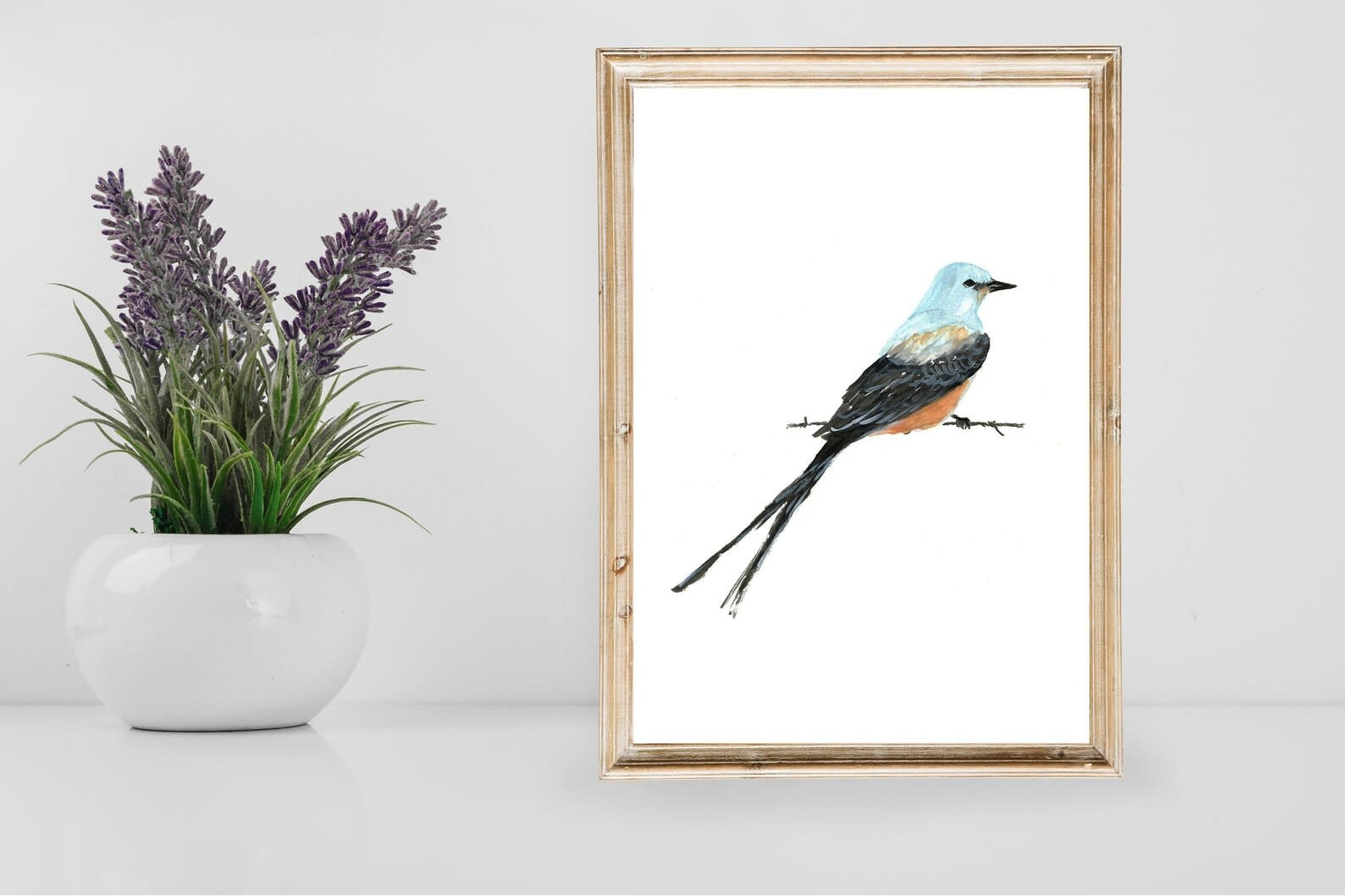 art print - scissortail flycatcher bird by scissortail prints co.