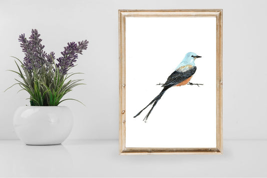 art print - scissortail flycatcher bird by scissortail prints co.