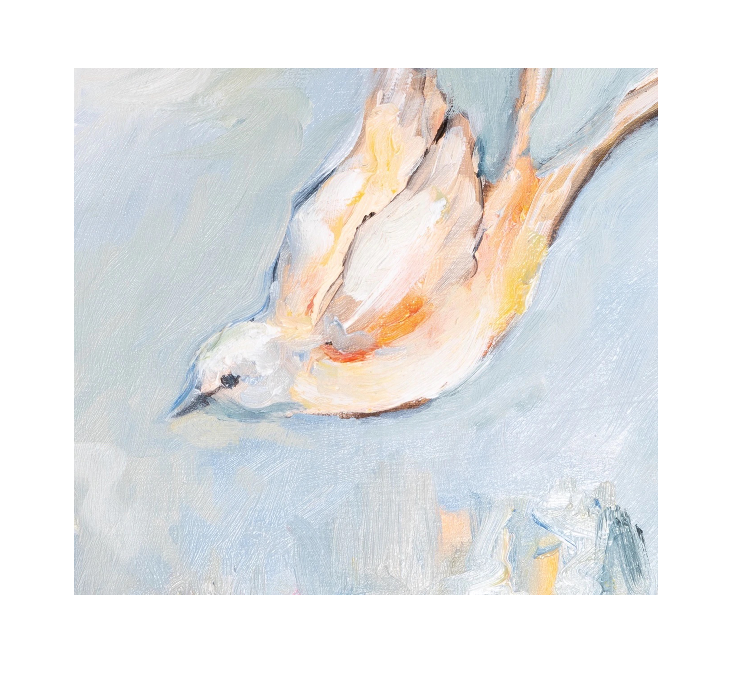 art print - scissortail flycatcher by mary james ketch studio