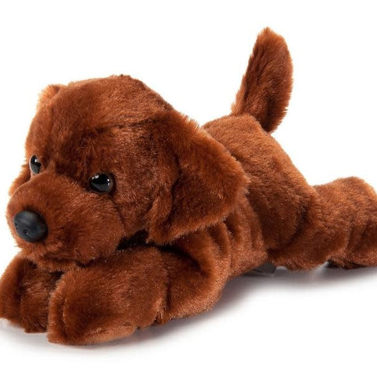 toy - animal plush - scoopz - chocolate lab by the petting zoo