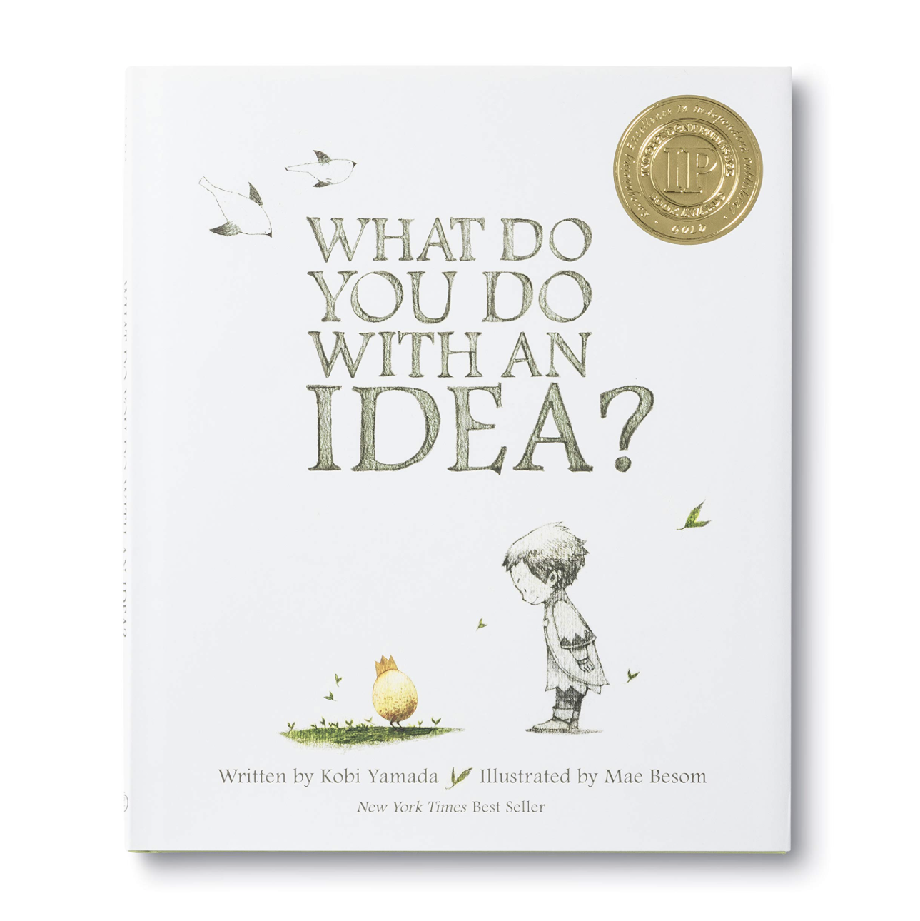 book - what do you do with an idea? by compendium