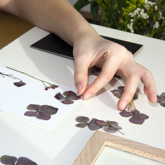 art frame - pressed flower by kikkerland