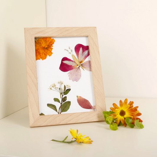art frame - pressed flower by kikkerland
