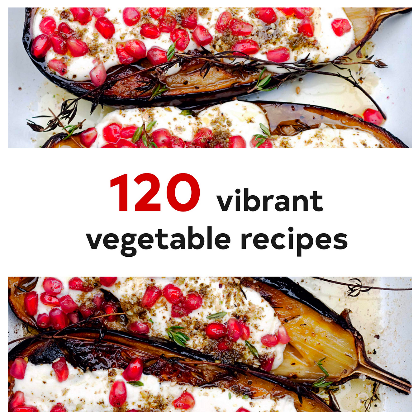 book - plenty cookbook by chronicle books