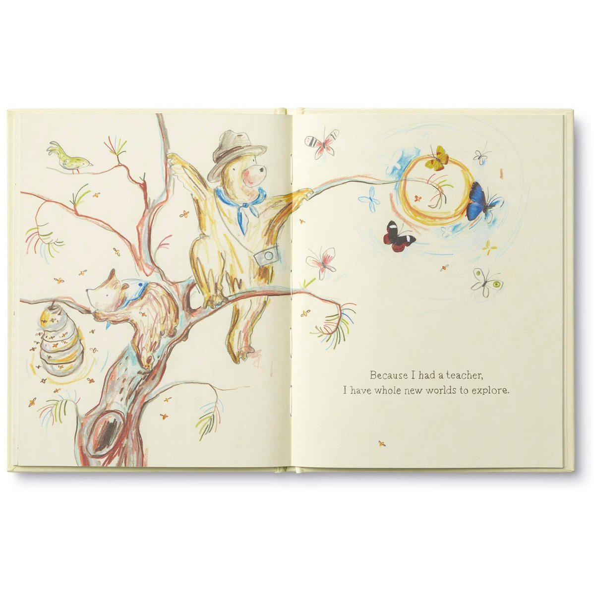 book - because i had a teacher by compendium